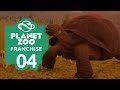 PLANET ZOO | EP. 04 - A LITTLE OVER THE TOP (Franchise Mode Lets Play)