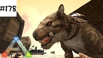 レア色 虎柄特選ティラコレオをテイム アイスワイバーン神卵 Ark Survival Evolved ラグナロク Season3part 公式pve تحميل Download Mp4 Mp3