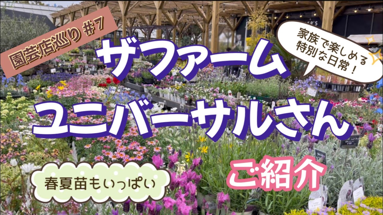 [園芸店巡り7] 千葉県・ザファーム　ユニバーサルさんご紹介・春夏苗もいっぱいです