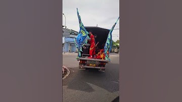 Du xuân Ất Tỵ 2025 ! #liondance