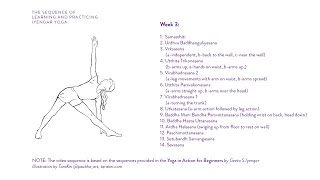 Week 3: Learning and Practicing Iyengar Yoga for Beginners