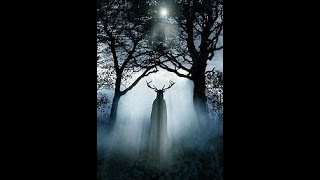 The Visitor