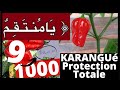 Karanguprotection totale pour tes ennemis