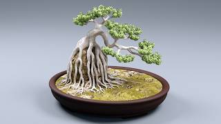 Bonsai Neagari 001 3D Model