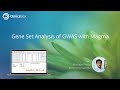 Gene Set Analysis of GWAS with Magma in OmicsBox
