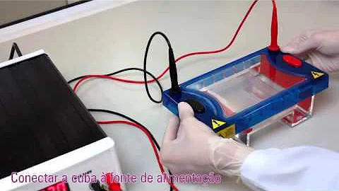 Como é realizada a técnica da eletroforese?