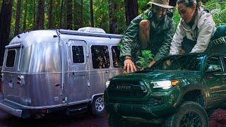 Living nomadic in our 2020 Tacoma TRD Pro & Airstream  | Airstream Life