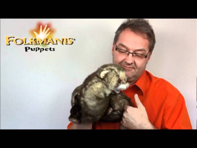 Video: Fretka