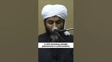 В чем разница между джиннами и шайтанами?