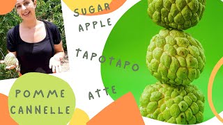 Le Fruit La Pomme Cannelle