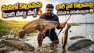 ముసిలో కొర్రామెన్లు వేట మాములుగా లెధు🤩😱😱 Unbelievable fishing with frog lures 🐠🐠 #fishing #viral 