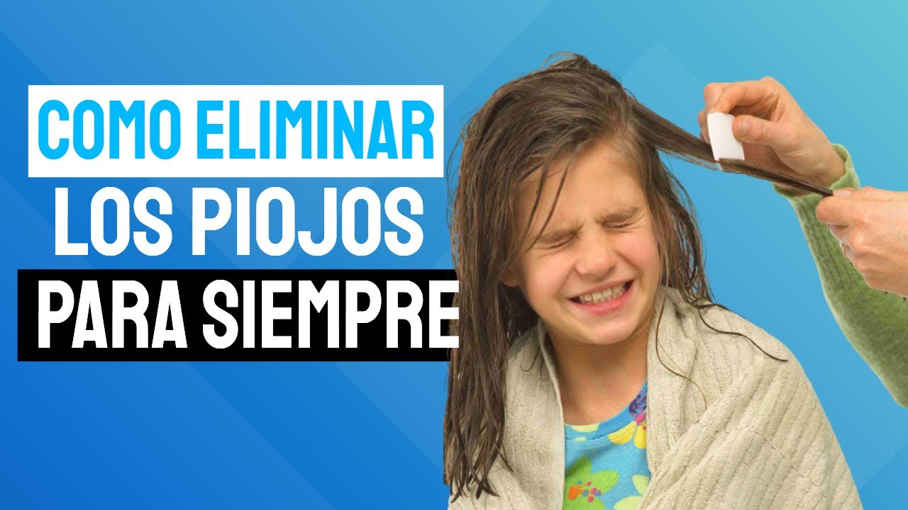 Como Quitar Los Piojos (En 5 Minutos) Remedios Para Matar Los Piojos Y ...