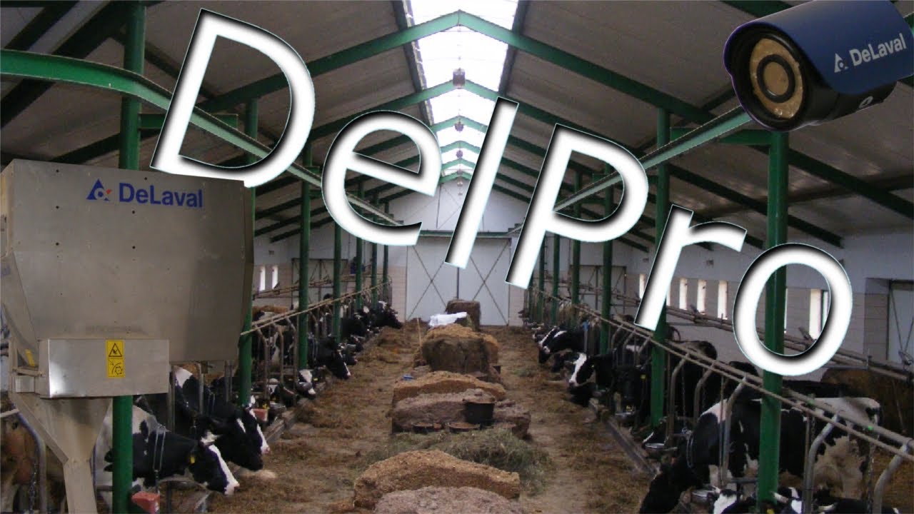 Funkcjonowanie nowej obory