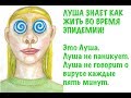 Луша знает как вести себя во время эпидемии