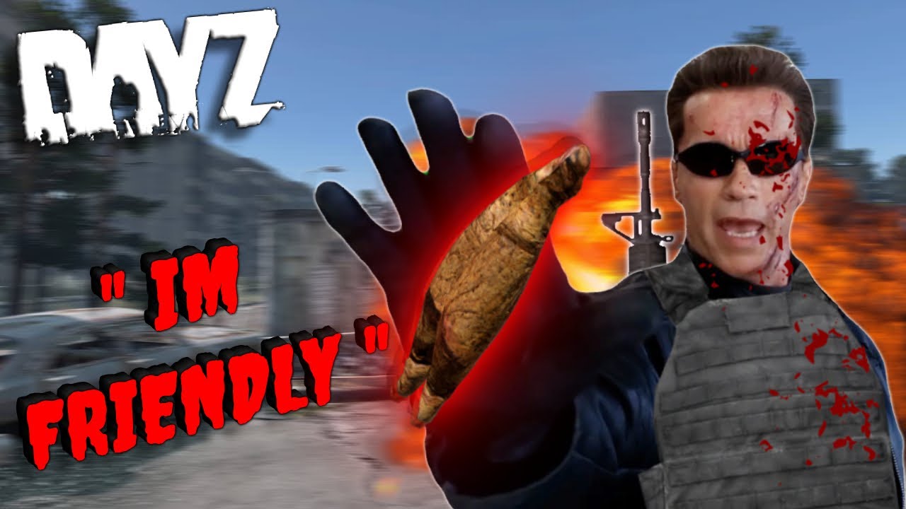 DayZ Players Have Gone INSANE!