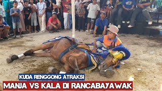 Kuda renggong atraksi - Atraksi kuda renggong manja vs kala