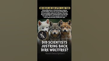Scientists Just ‘Revived’ Dire Wolves — But There’s a Twist Finally Revealed #shrots #direwolf