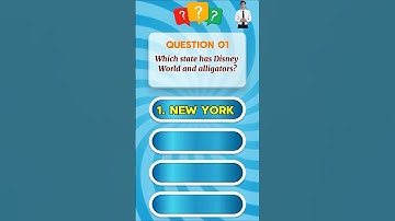 Which State Has Disney World and Alligators? 🐊🎢 | Trivixio Quiz Shorts