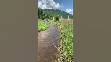 Đất vườn Diên Tân - Diên Khánh giáp suối chảy quanh năm