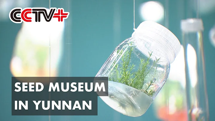 Seed Museum in Yunnan Showcases China's Achievements in Biodiversity Conservation - DayDayNews