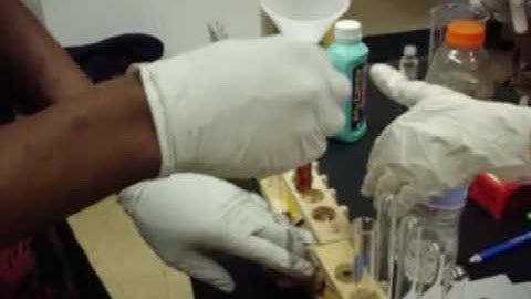 Chemistry Red Cabbage Project Part 2