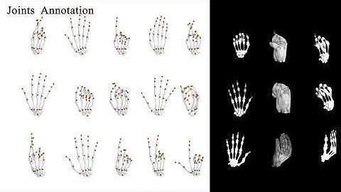 [IJCAI2021] PIANO: a parametric hand bone model from magnetic resonance imaging