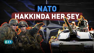 How to get in and exit NATO?