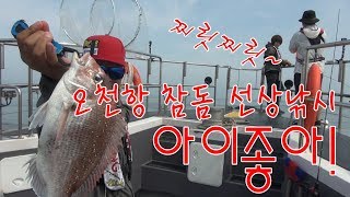 오천항 참돔이닼! 참돔 바다낚시 달려보자 FTV 피싱크루 70회 바다의미녀 참돔