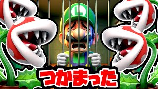 パックンフラワーにつかまったルイージの話（マリオもいます）【スーパーマリオメーカー2 / Super Mario maker 2】 #マリオ