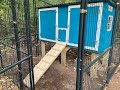 Chicken Coop Build