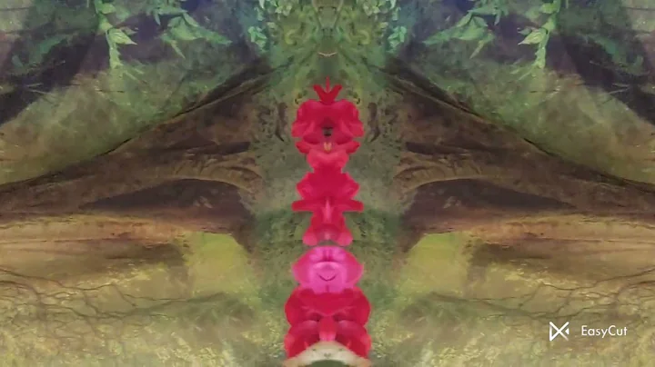 Robin Cooper song "reflections in the heart"