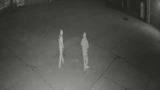 Thieves break into upcoming stray rescue building, putting them out $100K