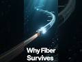 Why Fiber Repeaters Are Used in Long Distance Links