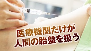 一度は試したい！話題のプラセンタの成分・万能効果ってどうなの？【Dr.Ben*】