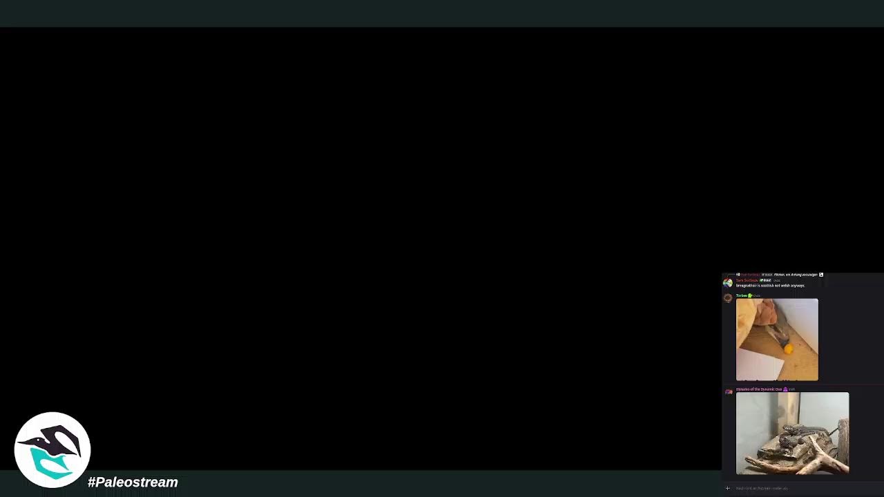 #Paleostream live!