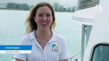USC whale research using drones