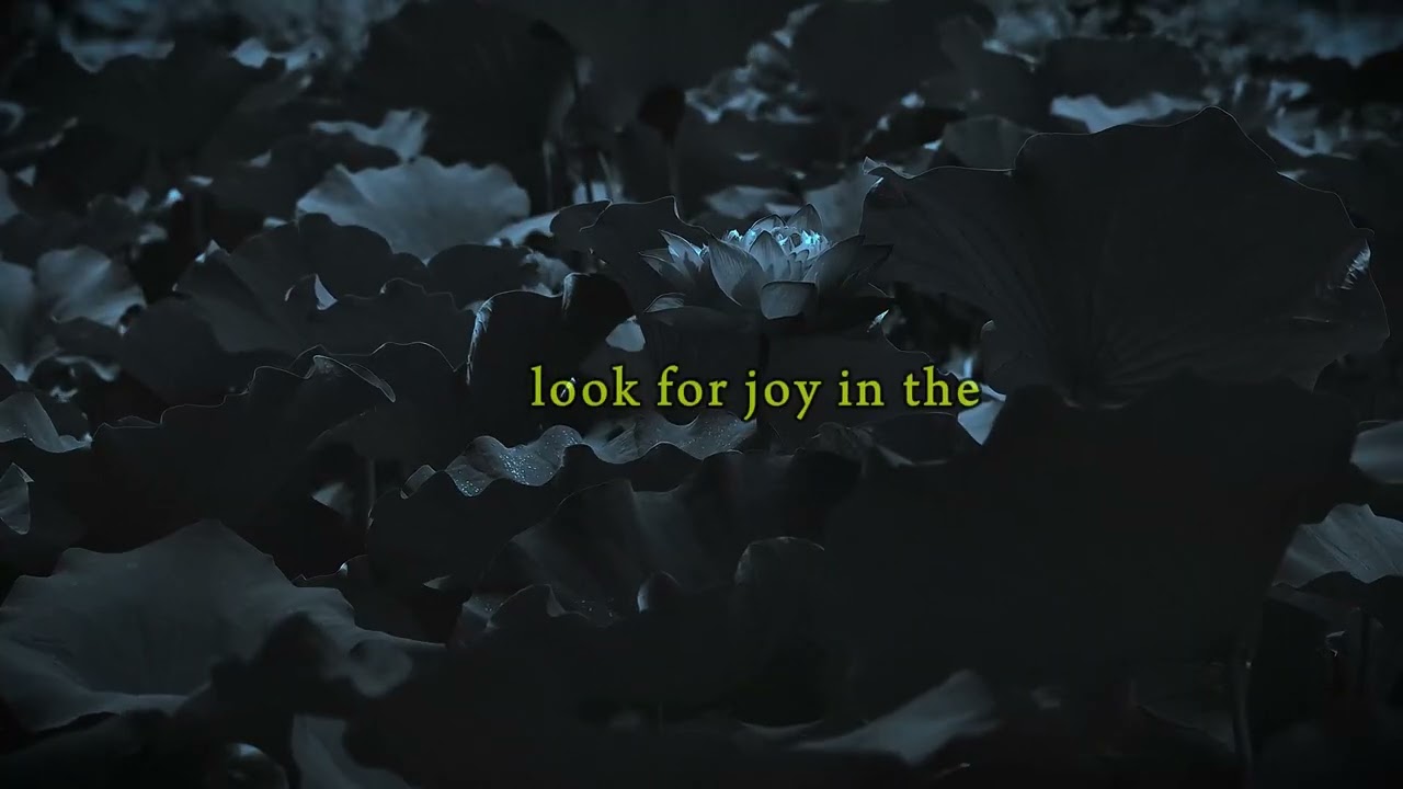 The Beauty of Small Moments🔥🌼🫴