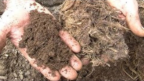 Compost from rice straw (Summary)