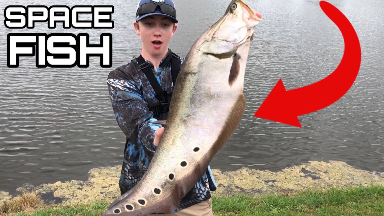 Fish Escapes From AREA 51!!! (Ft. FL_bassmaster) 