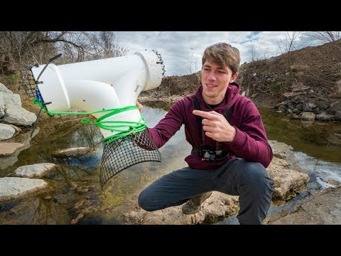 Trapping Creek Fish With HOMEMADE Trap! (Store bought VS. Handmade) - YouTube
