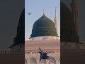 ...💚#Islamic video 🤲🤲🤲💚💚🥺🥺