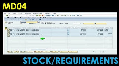 SAP MD04 Stock Requirements