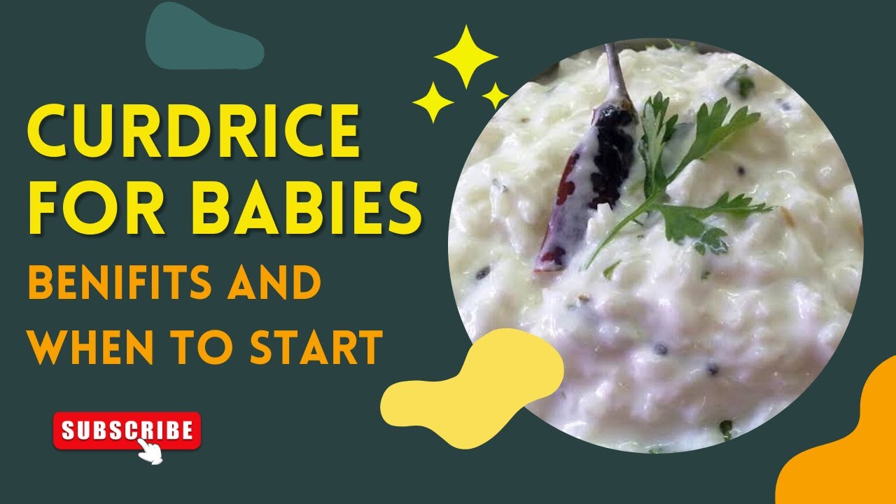curd rice for babies l when to start curd for babiesl benifits of curd