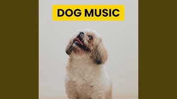 Sensational Moods for Lazy Cat Days