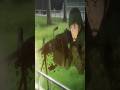 Invadieron Japón… Fue un Grave Error | GATE Anime #shorts #shortsanime