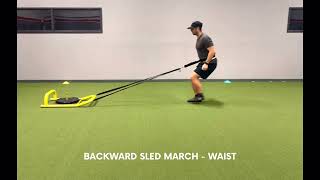 Backward Sled March - Waist
