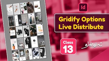 Gridify and Live Distribute options in Adobe Indesign | Indesign beginner class 13