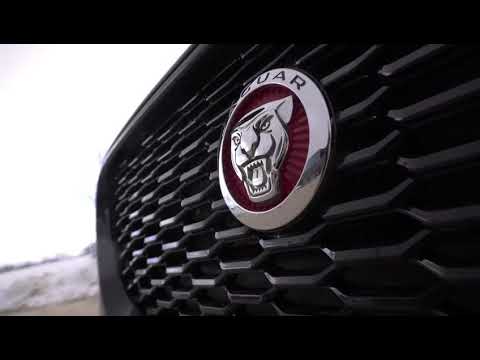 Jaguar xe, Saint Jhn, (Roses remix) car music video