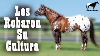 'Appaloosa' Lo Que No Sabias (El Secreto Del ApHC)Del Cerro Soy