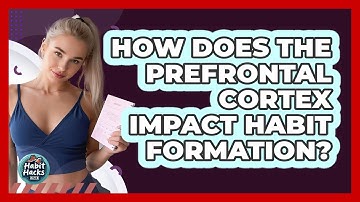 How Does The Prefrontal Cortex Impact Habit Formation? - Habit Hacks Hub